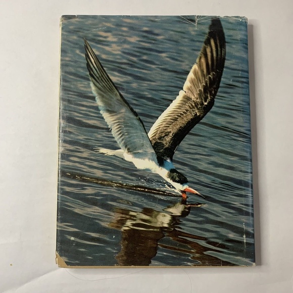 The Pleasure of Birds Hardcover Les Line An Audubon Treasury Ornithology… - Picture 2 of 8